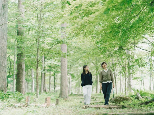 飛騨市の薬草をめぐる癒し旅